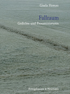 cover image of Fallraum